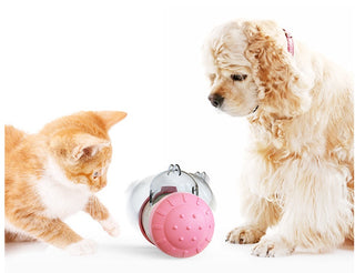 Pet Treat Toy