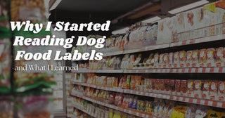 Why I Started Reading Dog Food Labels—and What I Learned