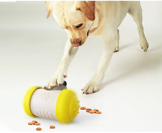 Pet Treat Toy