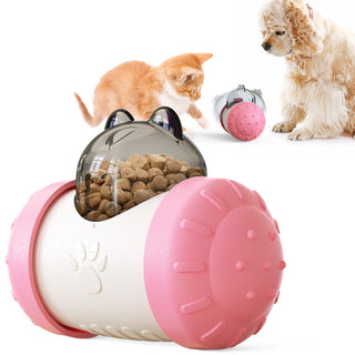 Pet Treat Toy