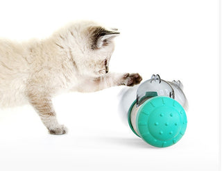 Pet Treat Toy