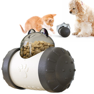 Pet Treat Toy