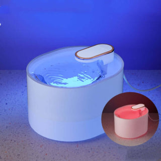 Automatic Pet Drinking Water Dispenser