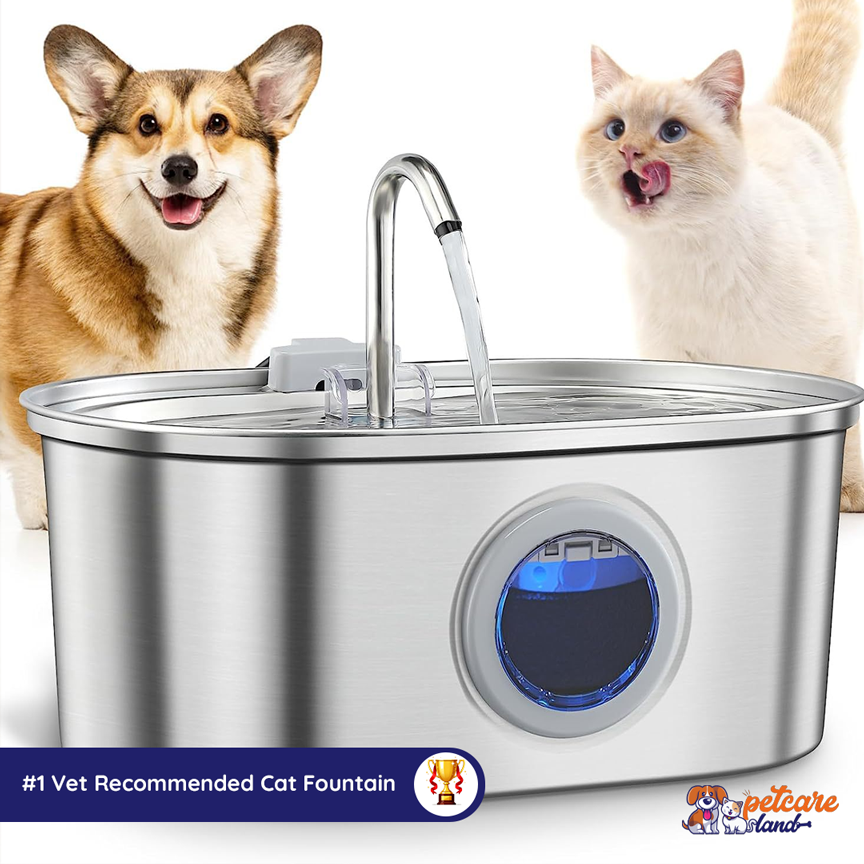 No more still water, They love running water🐈💦