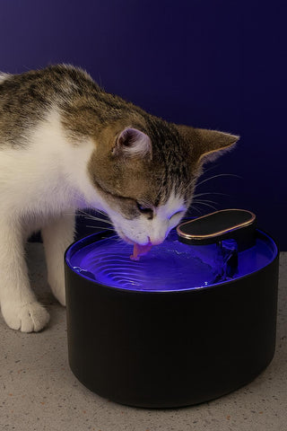 "QuietFlow Automatic Pet Water Fountain 3L - Fresh, Filtered Water For Dogs & Cats"