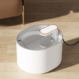 Automatic Pet Drinking Water Dispenser