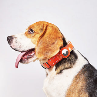 Pet Positioning Collar Tracker