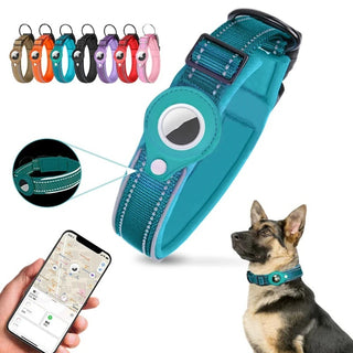 Pet Positioning Collar Tracker